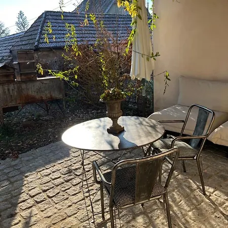 Studio De Charme Avec Terrasse Privee, Jardin Partage Appartement Bouxwiller  Buitenkant foto