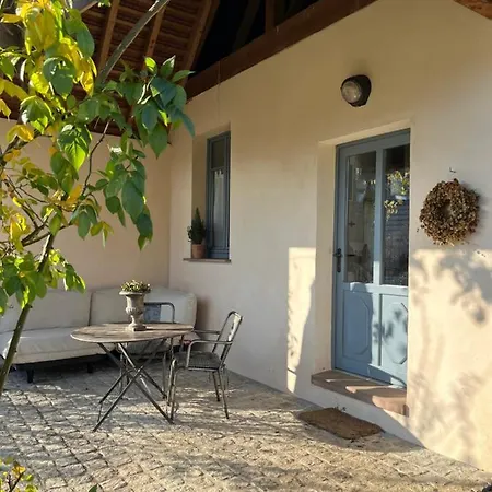 Studio De Charme Avec Terrasse Privee, Jardin Partage Appartement Bouxwiller  Buitenkant foto