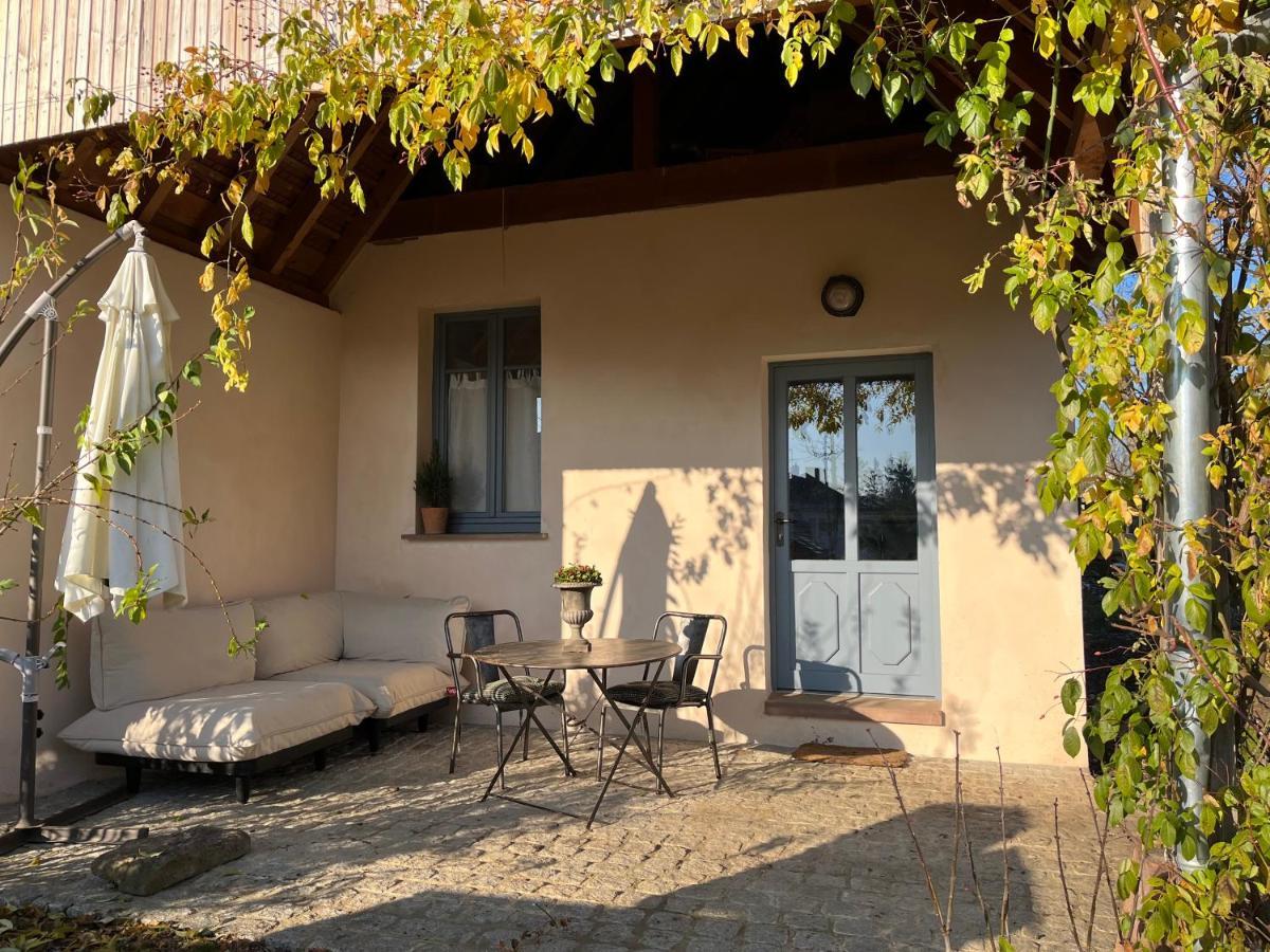 Apartment Studio De Charme Avec Terrasse Privee, Jardin Partage *